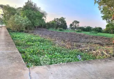 Expansive plot of land with lush greenery, perfect for development or agriculture.