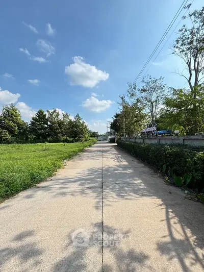Expansive driveway leading to a serene property surrounded by lush greenery and clear blue skies.