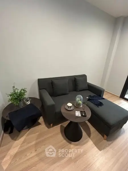 Cozy living room with modern gray sofa and stylish decor