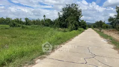 Scenic rural road with lush greenery and distant hills under a blue sky.
