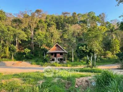 image_rental-31428029