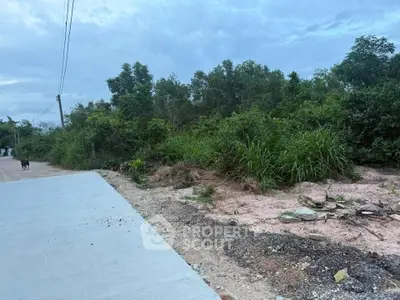 Vacant land plot with lush greenery, ideal for development in a serene location.