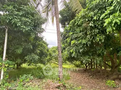 image_rental-31625693