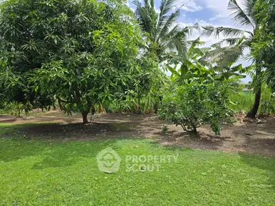 Lush garden with tropical trees and vibrant greenery, perfect for serene outdoor living.