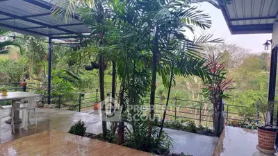 Charming outdoor patio with lush greenery and covered seating area, perfect for relaxation and entertaining.