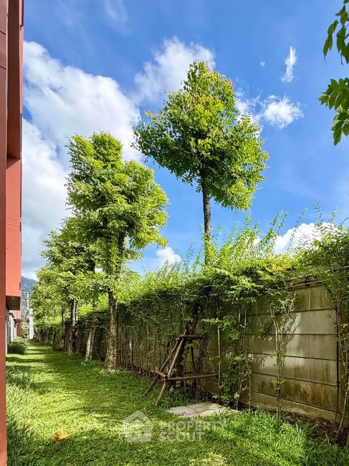 Lush green garden with tall trees and clear blue sky, perfect for serene outdoor living.