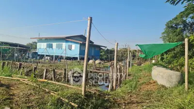 image_rental-31608324