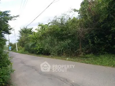 Scenic road surrounded by lush greenery, ideal for tranquil living or development.