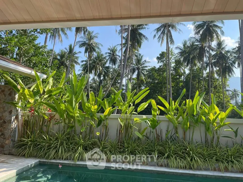 Tropical poolside oasis with lush greenery and palm trees, perfect for relaxation and luxury living.
