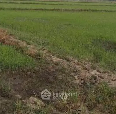 Screenshot 2569-01-15 at 18.08.55.jpg