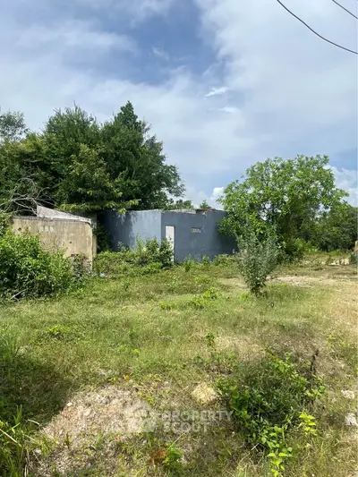 Explore this expansive plot of land with lush greenery, perfect for development opportunities.