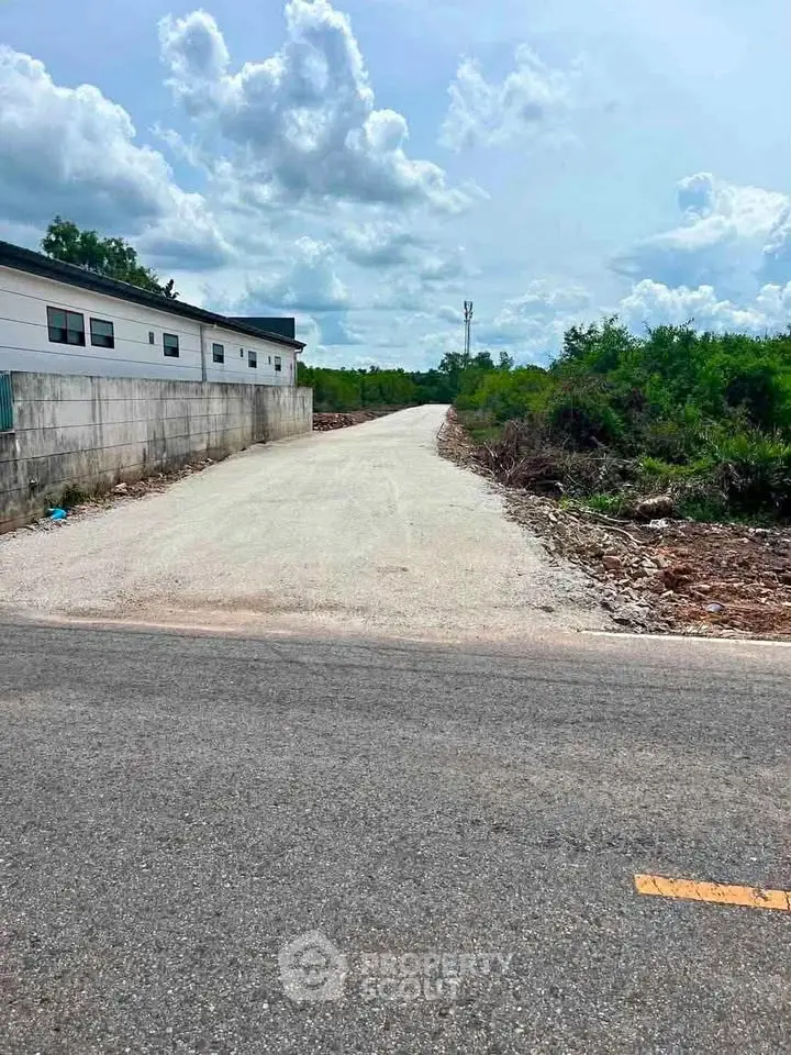 Expansive land plot with road access and lush greenery, perfect for development opportunities.