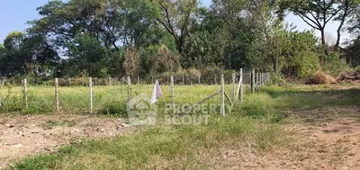 Spacious plot of land with lush greenery and potential for development, surrounded by trees and natural beauty.