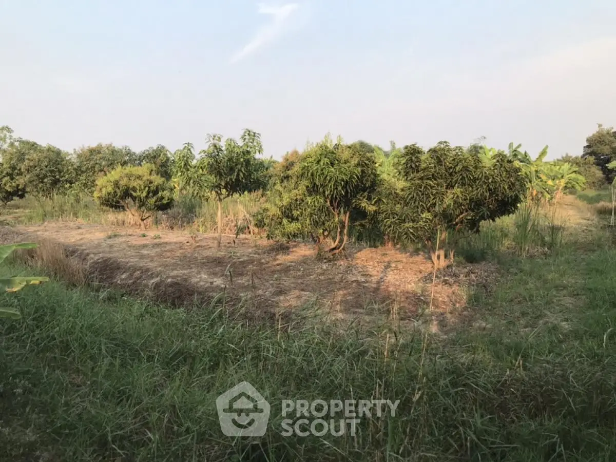 Expansive land with lush greenery perfect for development or agriculture