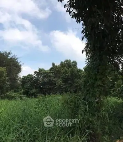 Screenshot 2026-01-04 195930.png