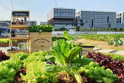 Urban garden with lush greens and modern buildings in the background