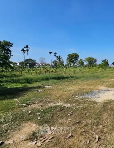 Screenshot 2026-03-15 161724.png