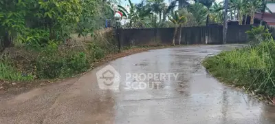 Charming rural road with lush greenery and serene surroundings, perfect for tranquil living.