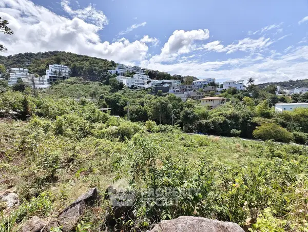 image_rental-30502322