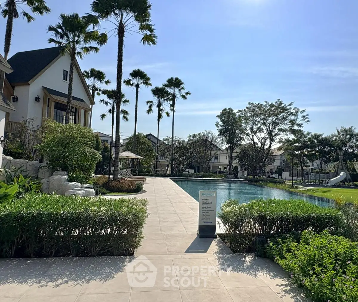 Luxurious residential pool area with palm trees and elegant landscaping
