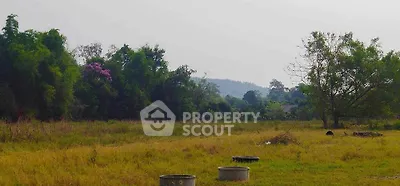 Expansive land plot with lush greenery and scenic views, perfect for development or investment opportunities.
