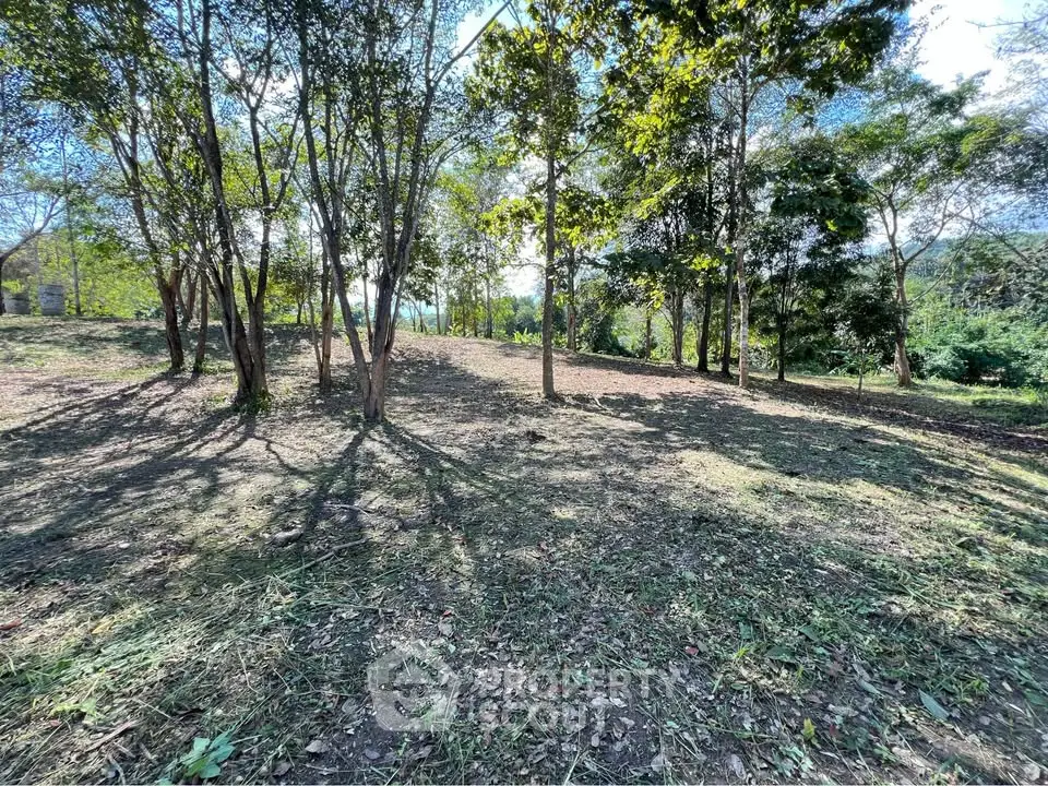 Spacious wooded land with lush greenery, perfect for building a dream home or investment property.