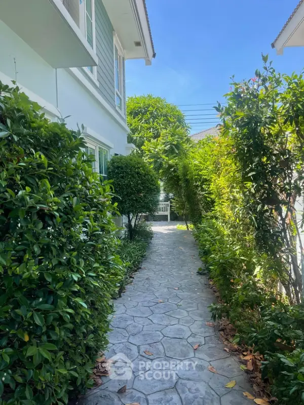 image_rental-19986868