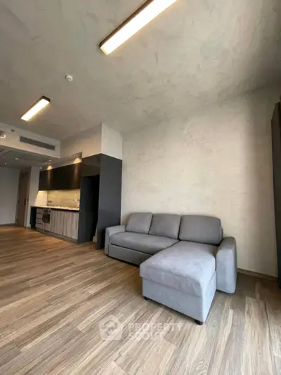 Modern living room with sleek design and cozy gray sofa, featuring open kitchen layout and stylish lighting.