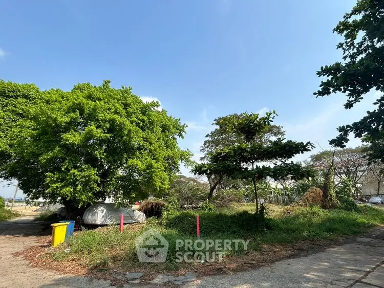 Spacious outdoor plot with lush greenery and clear blue sky, ideal for development opportunities.