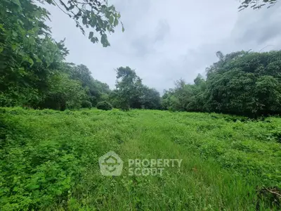 image_rental-19033758