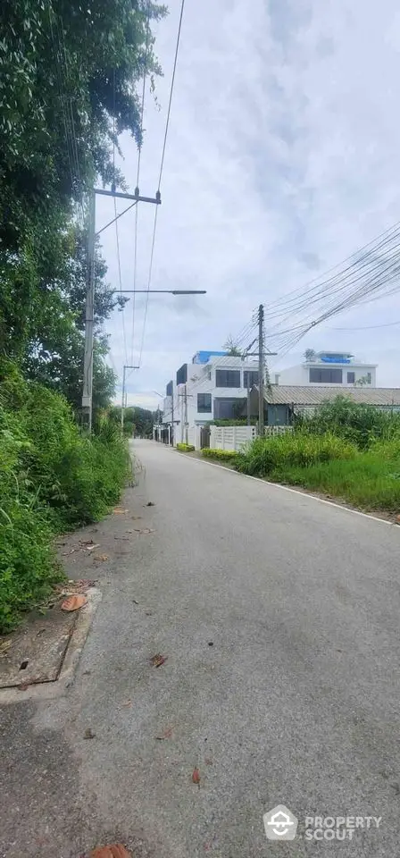 Scenic view of modern residential street with lush greenery and contemporary houses.