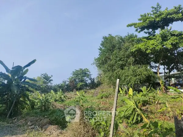 image_rental-10636080