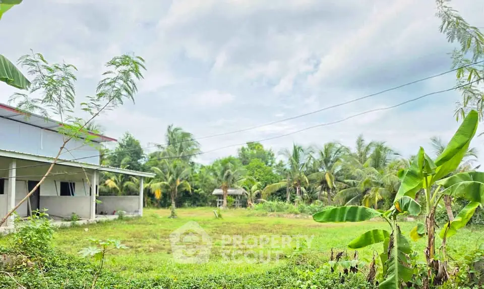 Spacious rural property with lush greenery and potential for development.