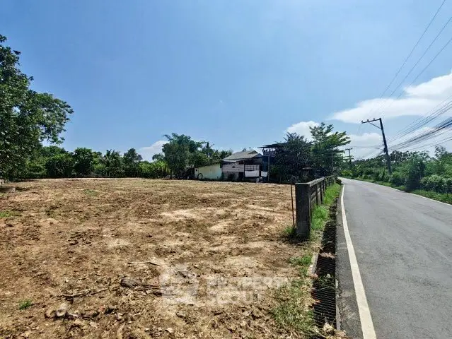 Spacious land plot with road access and lush greenery, ideal for development opportunities.