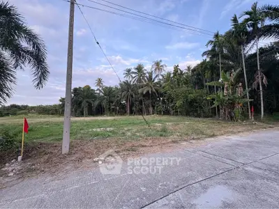 Spacious land plot with lush greenery and palm trees, ideal for development or investment opportunities.