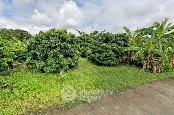 image_rental-29696439