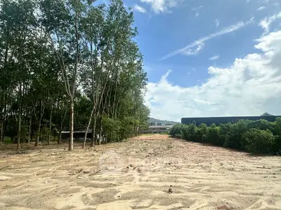 Expansive vacant land with lush trees, perfect for development opportunities.