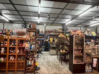Spacious storage room filled with collectibles and display shelves, ideal for hobbyists and collectors.