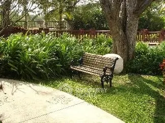 Charming garden area with lush greenery and a cozy bench, perfect for relaxation.