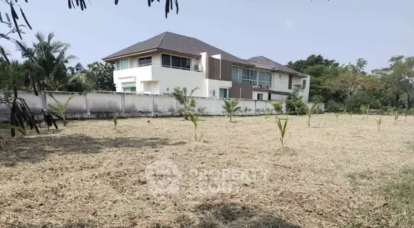 image_rental-31590395