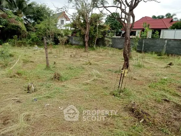 image_rental-27875199