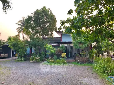 image_rental-29391785