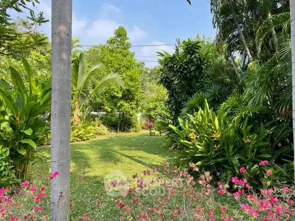 Lush tropical garden with vibrant greenery and colorful flowers