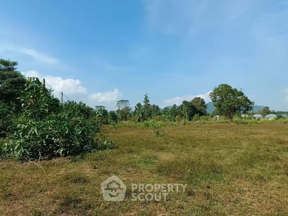 Expansive land plot with lush greenery and clear blue skies, ideal for development opportunities.