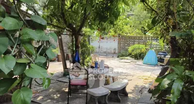 image_rental-31591636