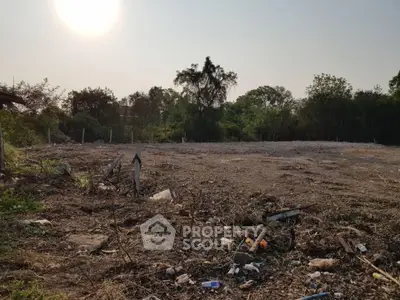 Spacious vacant land with potential for development, surrounded by lush greenery and natural beauty.