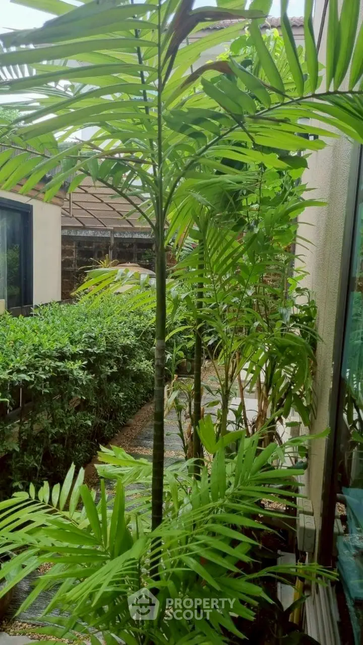 Lush garden view with tropical plants and modern exterior design, perfect for nature lovers.