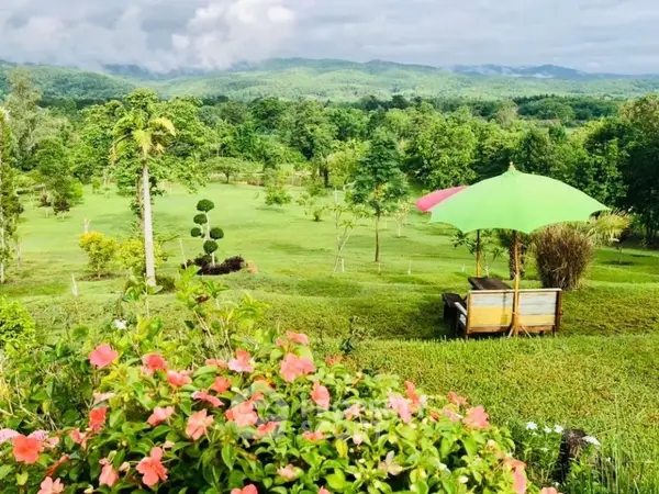 image_rental-16302552