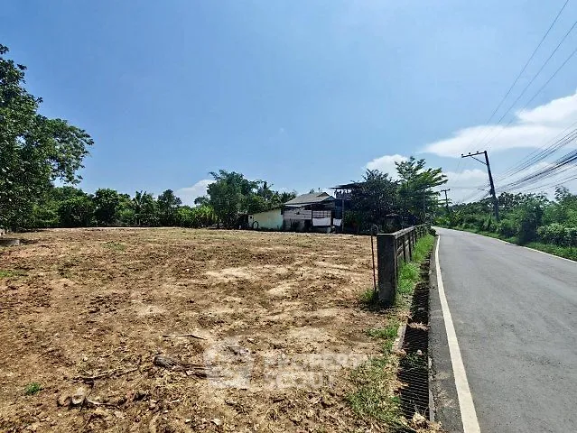 Spacious land plot with road access, ideal for development in a serene environment.