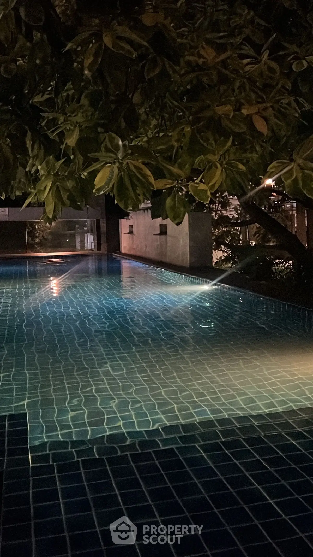 Luxurious night view of a serene swimming pool surrounded by lush greenery, perfect for relaxation.